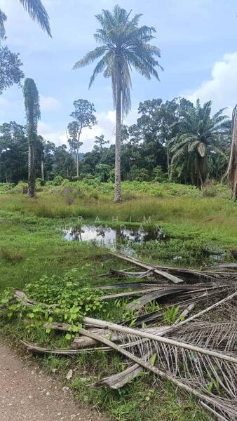 Agriculture Land for sale 78 acres near Jalan Kathong, Jugra, Banting, Selangor untuk Untuk Dijual - RM 49,000,000, Apr 2026 - Exterior - PropertyGuru.com.my