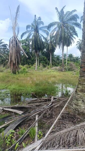 Agriculture Land for sale 78 acres near Jalan Kathong, Jugra, Banting, Selangor untuk Untuk Dijual - RM 49,000,000, Apr 2026 - Exterior - PropertyGuru.com.my