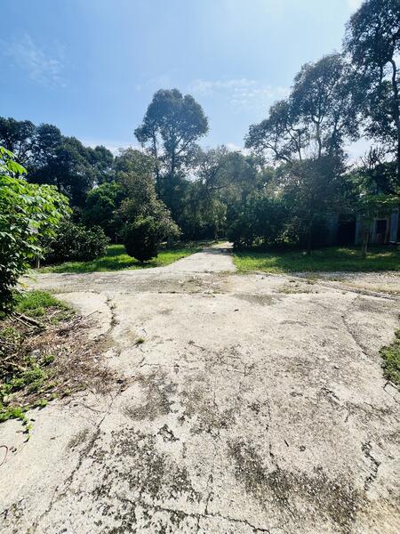 For Sale - kampong baru pajam
