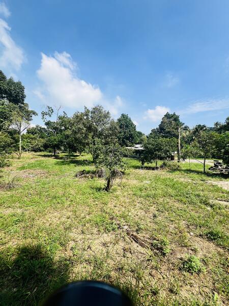 For Sale - kampong baru pajam