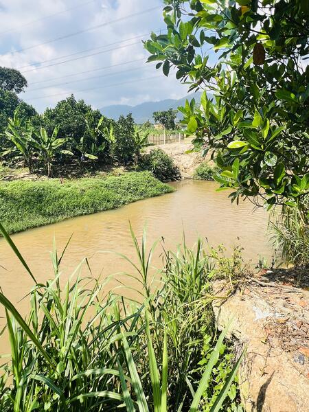 For Sale - kampong baru pajam