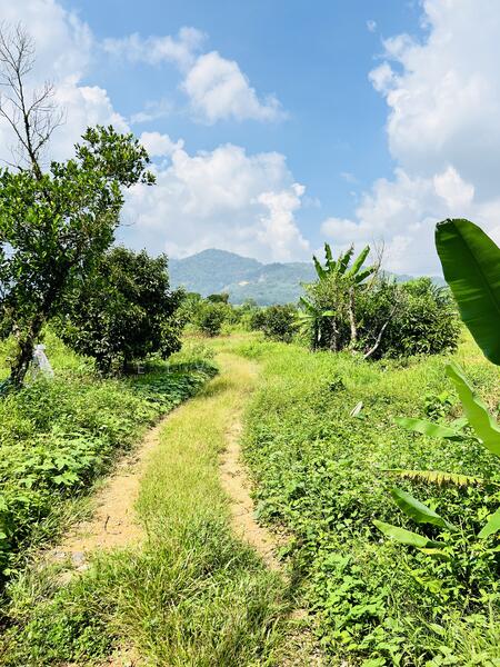 For Sale - kampong baru pajam