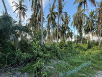 For Sale - Bagan Nakhoda Omar (BNO), Sabak Bernam