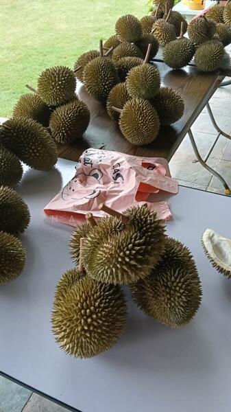 Tanah Pertanian untuk Dijual di Seremban (Negeri Sembilan) - Halim HP - Exterior - PropertyGuru.com.my