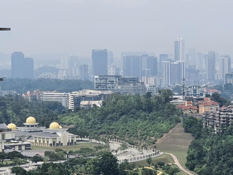 Istana Negara View