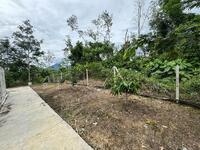 For Sale - Fruit Farm in Gerik Perak Hulu Perak for Sale