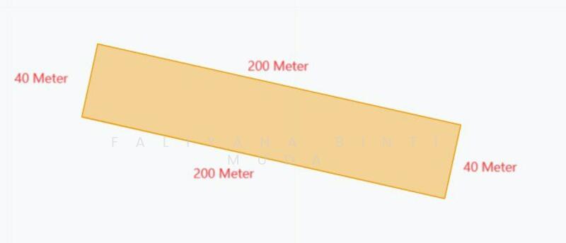 Untuk Dijual - Buluh akar