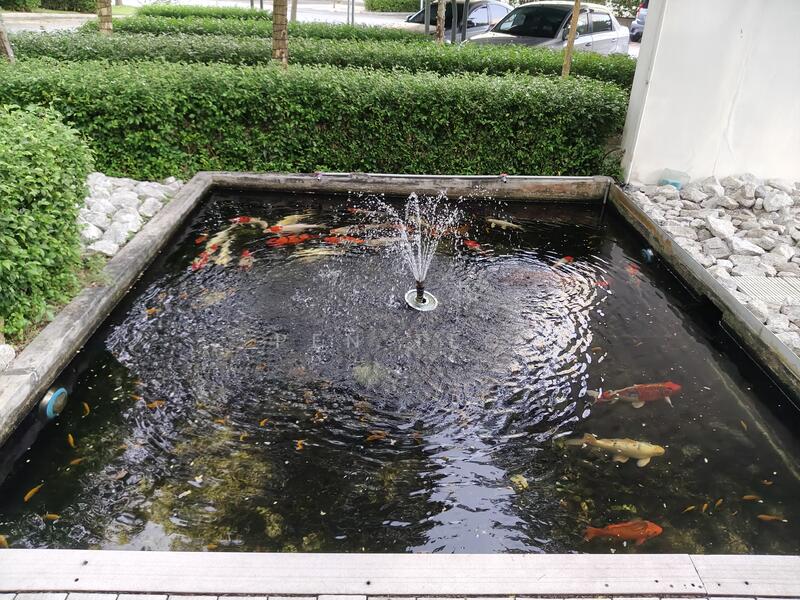 Fish Pond
