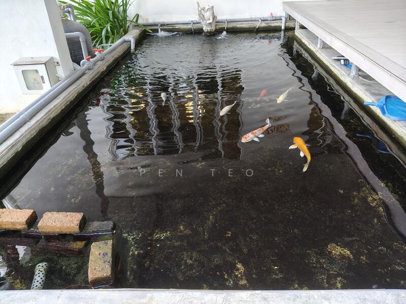 Fish Pond