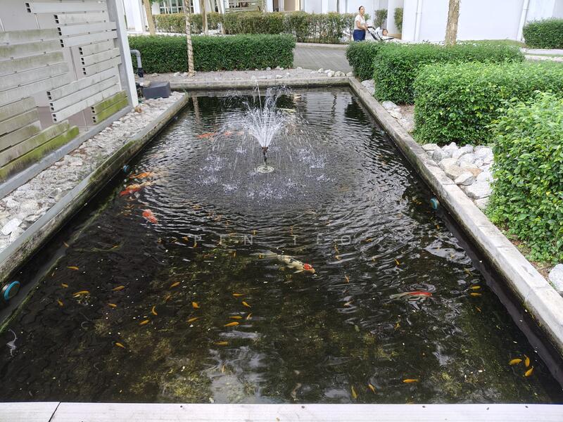 Fish Pond