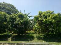 For Sale - 12 Acres Development Land, Sungai Lalang, Bedong, Sungai Petani