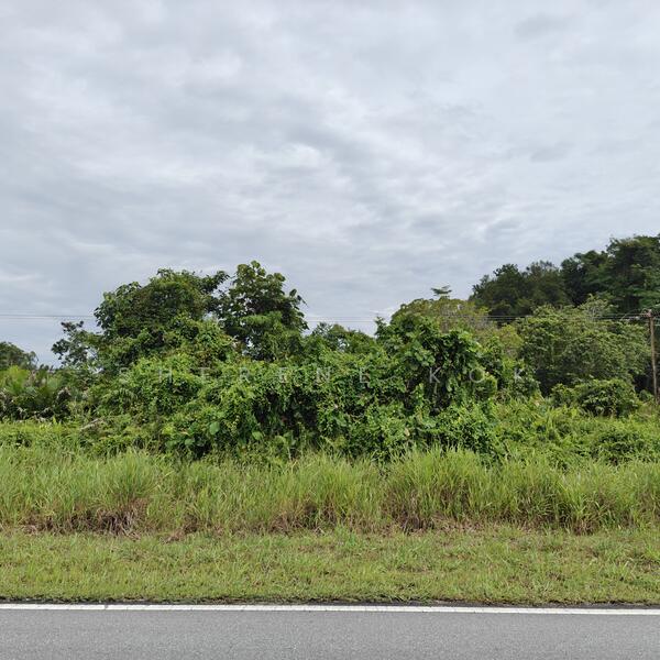 Tanah Pertanian untuk Dijual di Bako (Kuching) - Sherene Kok - Exterior - PropertyGuru.com.my