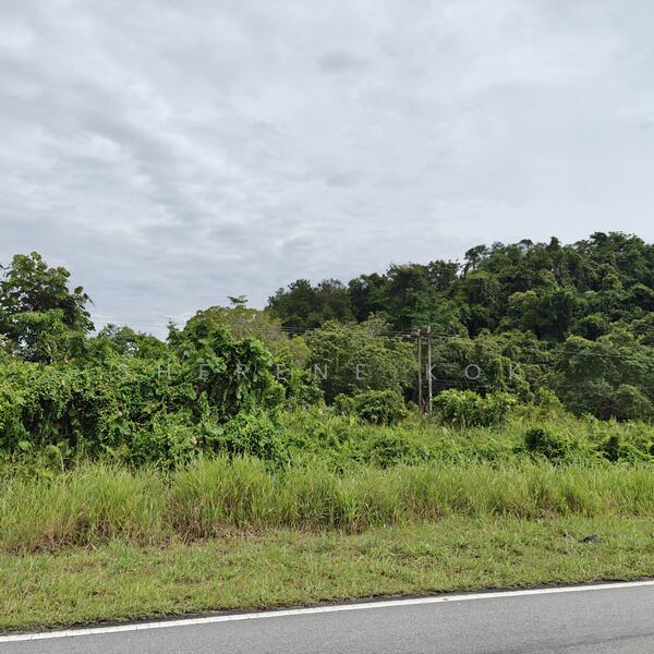 Tanah Pertanian untuk Dijual di Bako (Kuching) - Sherene Kok - Exterior - PropertyGuru.com.my