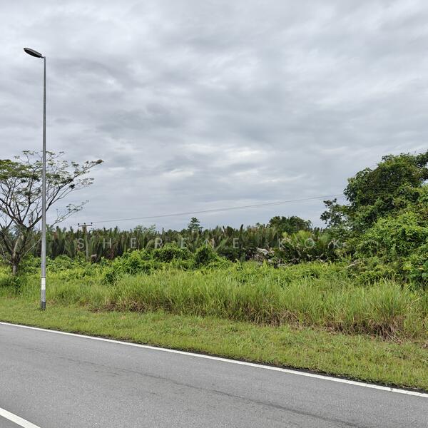 Tanah Pertanian untuk Dijual di Bako (Kuching) - Sherene Kok - Exterior - PropertyGuru.com.my