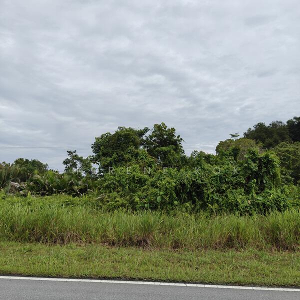 Tanah Pertanian untuk Dijual di Bako (Kuching) - Sherene Kok - Exterior - PropertyGuru.com.my
