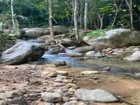 For Sale - Lenggong