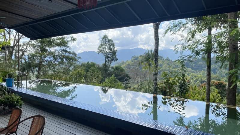 Twin Villas for Sale in Janda Baik (Bentong) - Jack Chin - Pool - PropertyGuru.com.my