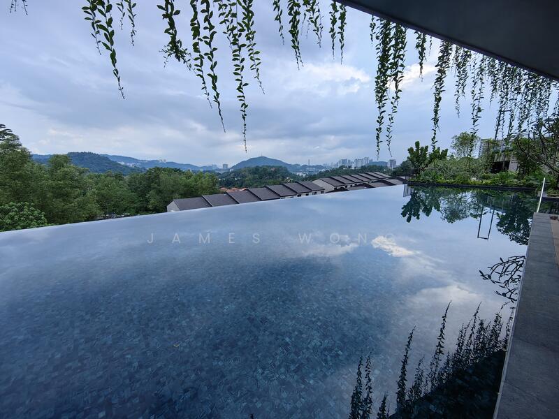 Infinity Pool
