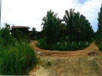 For Sale - Nabawan Keningau Plantation 122.29 acres