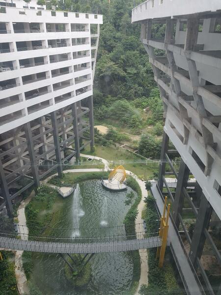 Landscaped Garden with Water Feature