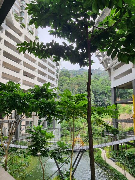 Landscaped Garden with Water Feature
