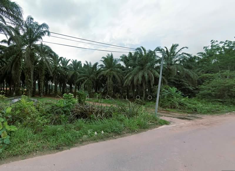 Industrial Land for Sale in Pekan Nenas (Jeram Batu) - Eric Loo - Exterior - PropertyGuru.com.my