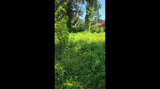 Agricultural Land for Sale in Kampung Sungai Penchala (Sungai Penchala) - RAIS . - PropertyGuru.com.my