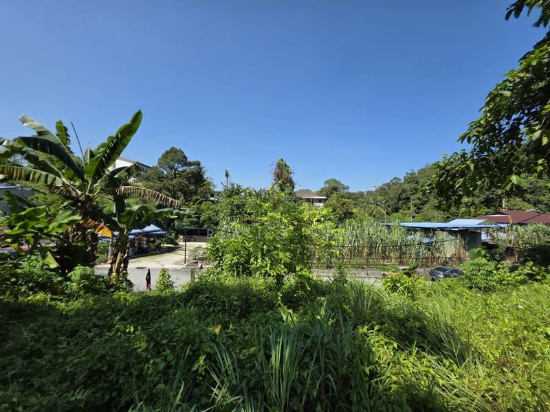 Agricultural Land for Sale in Kampung Sungai Penchala (Sungai Penchala) - RAIS . -   - PropertyGuru.com.my