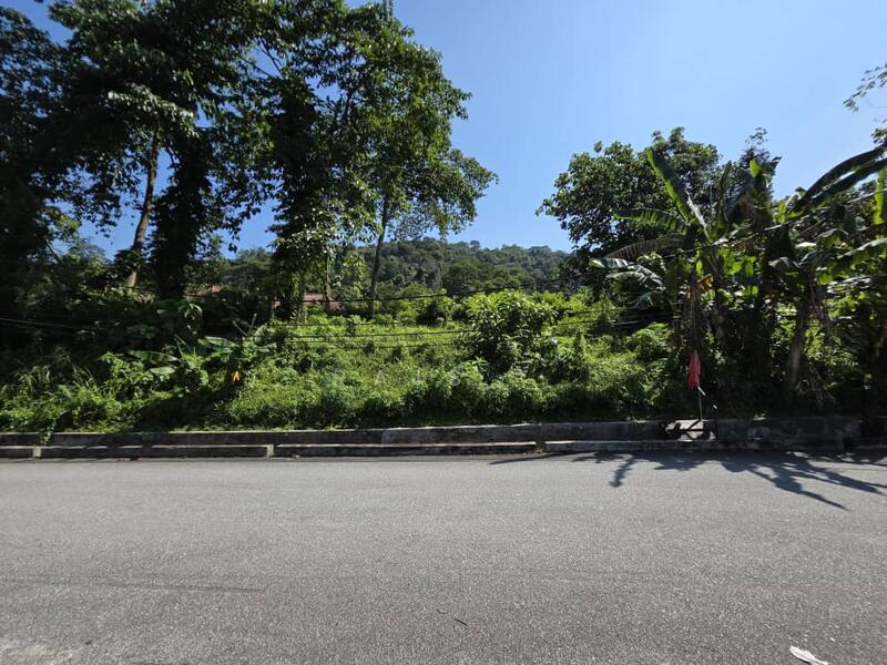 Agricultural Land for Sale in Kampung Sungai Penchala (Sungai Penchala) - RAIS . -   - PropertyGuru.com.my
