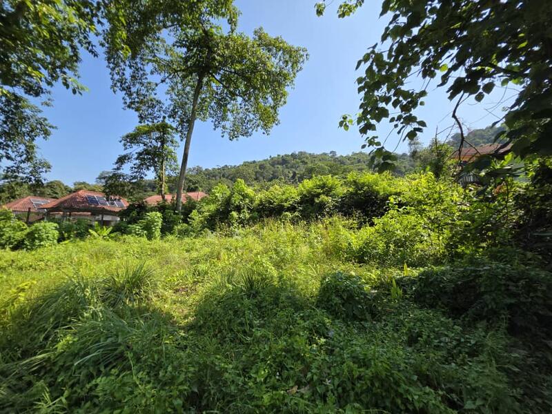 Agricultural Land for Sale in Kampung Sungai Penchala (Sungai Penchala) - RAIS . -   - PropertyGuru.com.my