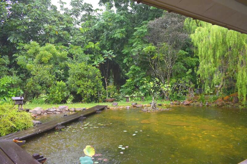 Rumah Banglo untuk Dijual di Valencia (Sungai Buloh) - LIM KHENG BOON - Garden - PropertyGuru.com.my