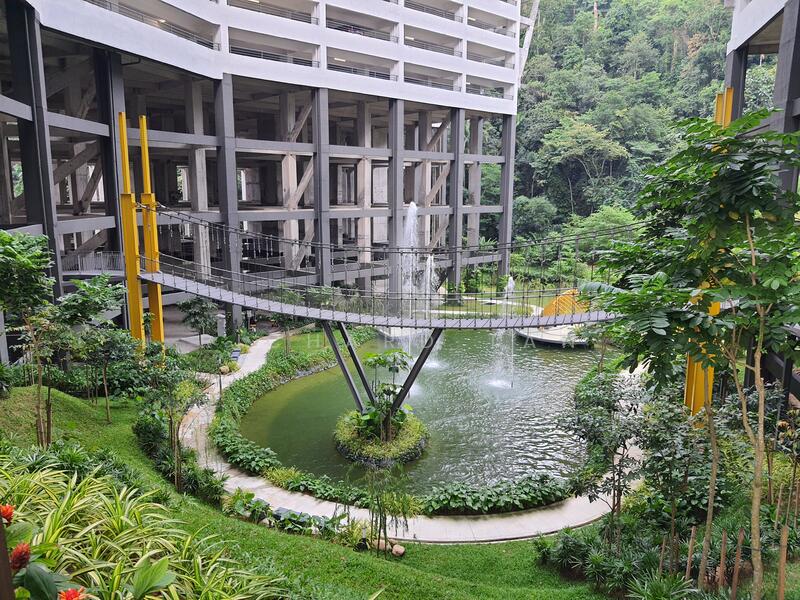 Landscaped Garden with Water Feature