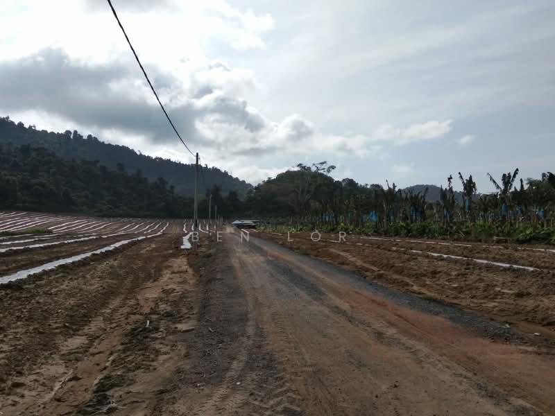 Tanah Pertanian untuk Disewa di Jitra (Kedah) - Ben Lor - Exterior - PropertyGuru.com.my