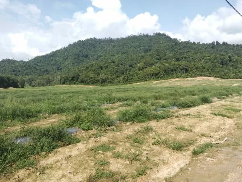 Tanah Pertanian untuk Disewa di Jitra (Kedah) - Ben Lor - Exterior - PropertyGuru.com.my