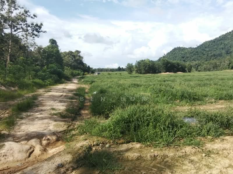 Tanah Pertanian untuk Disewa di Jitra (Kedah) - Ben Lor - Exterior - PropertyGuru.com.my