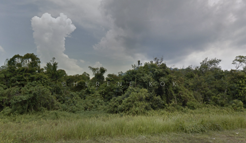 Agricultural Land for Sale in Matang (Kuching) - Sherene Kok - Exterior - PropertyGuru.com.my