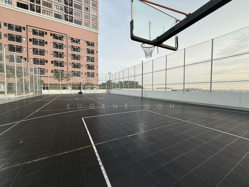 Basketball Court