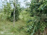 For Sale - Ilp Pedas Kampung Paya Besar