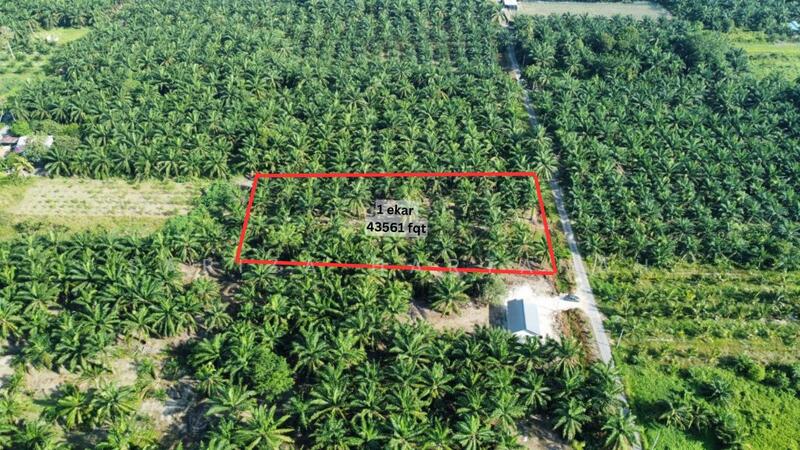 Untuk Dijual - Sungai Sireh