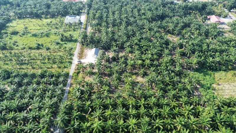 Untuk Dijual - Sungai Sireh