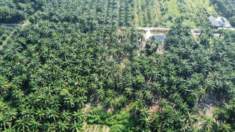 Untuk Dijual - Sungai Sireh