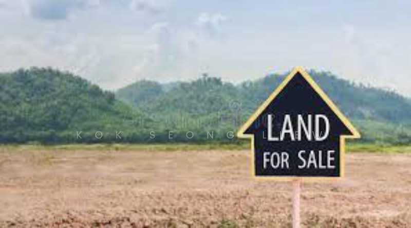 Tanah Pertanian untuk Dijual di Telok Panglima Garang (Selangor) - Sean Liew - Exterior - PropertyGuru.com.my