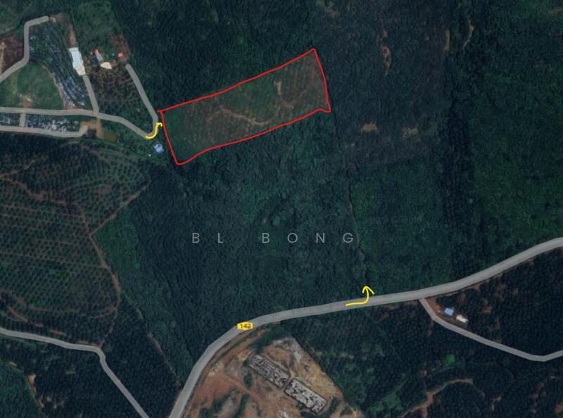 Untuk Dijual - Durian Tunggal