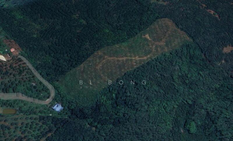 Untuk Dijual - Durian Tunggal