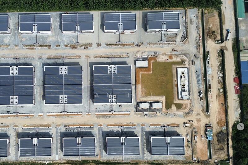 Untuk Dijual - SALAK TINGGI