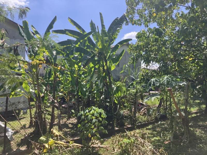 Rumah Teres 2-Tingkat untuk Dijual di Taman Sri Rokam (Ipoh) - Nicholas Poh - Garden - PropertyGuru.com.my