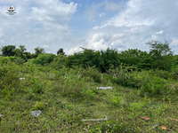 For Rent - CHEAPEST MAIN ROAD LAND Jalan Permatang Pauh KUBANG SEMANG Guar Perahu