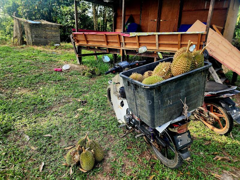 Untuk Dijual - Bentong New Village