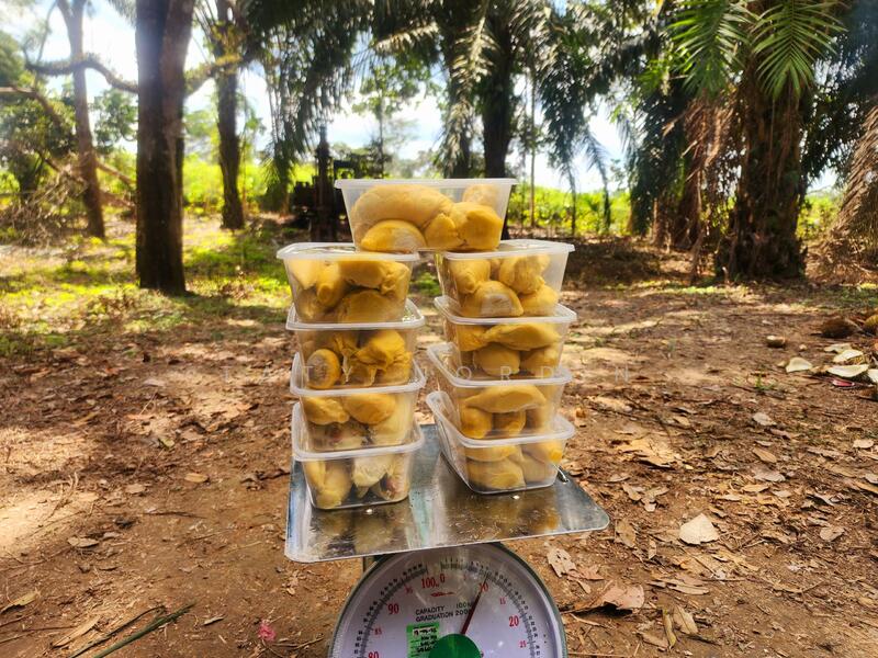 Untuk Dijual - Bentong New Village