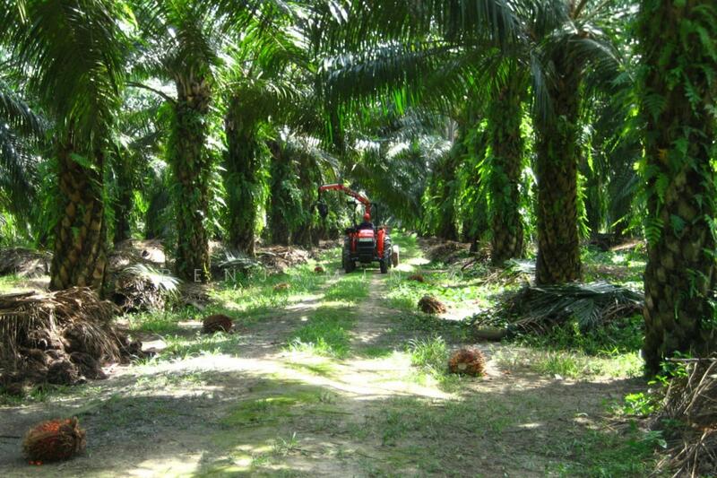 For Sale - Kota Tinggi